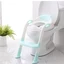 Potty Step Stool and Seat