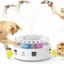 3-in-1 Interactive Toy