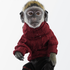 Mojo the Monkey