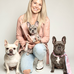 The Hollywood Frenchies