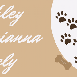 ABK animal care and walking 