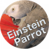 Einstein Parrot