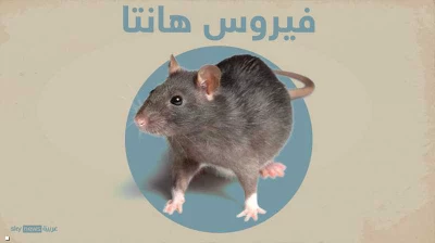 توقعات ليلى عبداللطيف ل فيروس هانتا الـقـ اتل 🐀