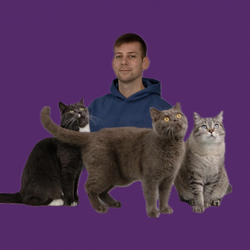CatInfo