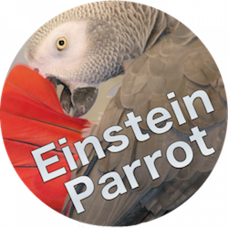 Einstein Parrot