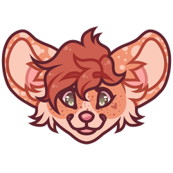 Meraki Mouse