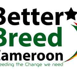 Better Breed Cameroon