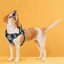 DOGLINE Pet Harnesses