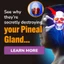 Pineal XT