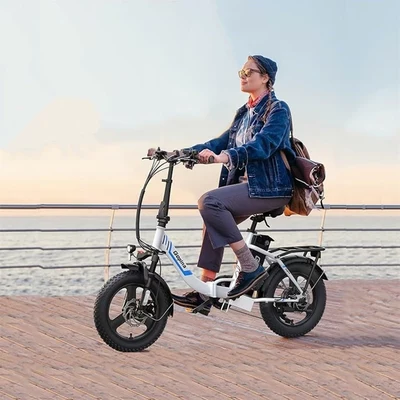 VIVI Gopina Electric Bike Review