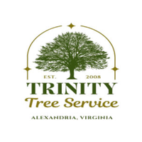 Allentown Tree Service LLC