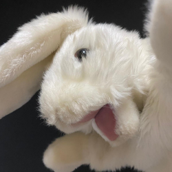 realSillyRabbit