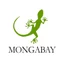 Mongabay | Venezuela’s shrimp farms push for sustainability against hardship and oil spills