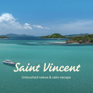 https://www.sandals.com/sandals-saint-vincent/photos/?referral=110957&agentid=MALO9609