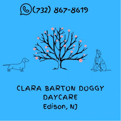 Clara Barton Doggy Daycare