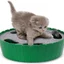 Electric Interactive Running Mouse Chase Toy