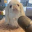 I'm on Cameo!