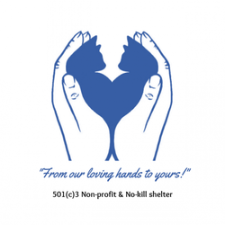 Loving Hands Cat Rescue