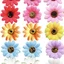 Daisy Flower Hair Clips
