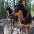 Mayzie & Tanner 