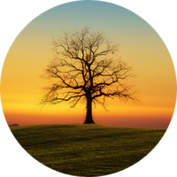 Spiritual Quest