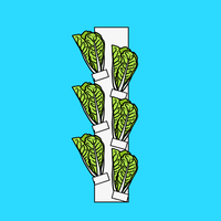 Livermore Vertical Produce