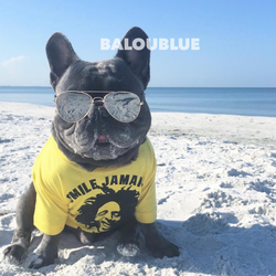Balou Blue