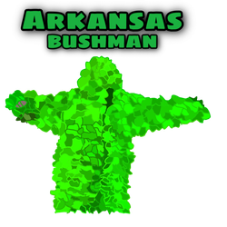 Arkansas BUSHMAN 
