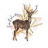 Deer Boho