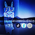 LLAMASLIFE619