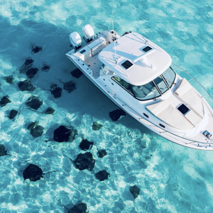 https://www.viator.com/tours/Grand-Cayman/Private-Half-Day-Charter-Stingray-City-Snorkeling-Starfish-Point/d50485-384052P4