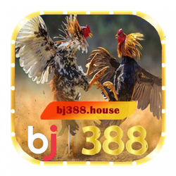 BJ388