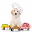 ULTIMATE Guide To DOG Health