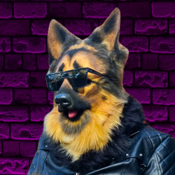 Dax Danger Official