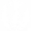 BraveFox Live on Twitch!