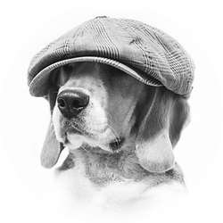 Marvel Ze Super Beagle