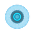 Indlandsis