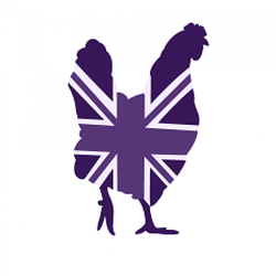 Chicken Rescue UK