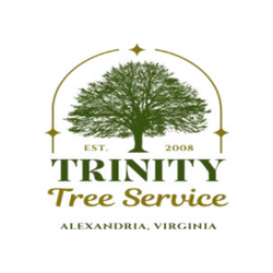 Allentown Tree Service LLC