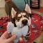 Misha