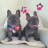 Henry & Penny