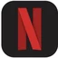 Netflix Entry