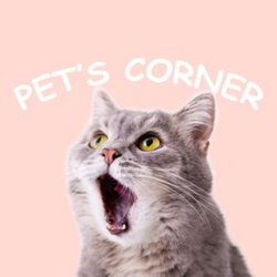 Pets Corner