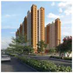prestigesouthern Star