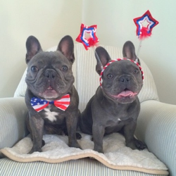 Henry & Penny