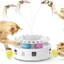 3-in-1 Interactive Toy