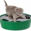 Electric Interactive Running Mouse Chase Toy
