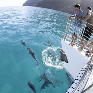 https://www.viator.com/tours/Kauai/Half-Day-Na-Pali-Kauai-Catamaran-Snorkeling-Cruise-with-Lunch/d670-6907P4?pid=P00006875&uid=U00257402&mcid=58086&currency=USD