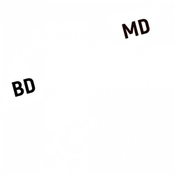 BRICE DUMANOIS MARKETING DIGITAL (BDMD)