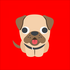 BSC DOGS